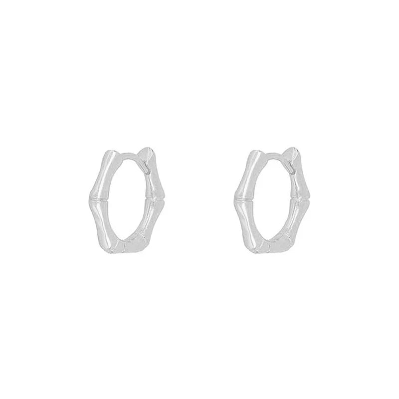 CRMYA Gold Silver Filled Hoop Earrings For Women Opal Zircon Earring Hoops Luxury Mini Earings Ear Jewelry Pendientes