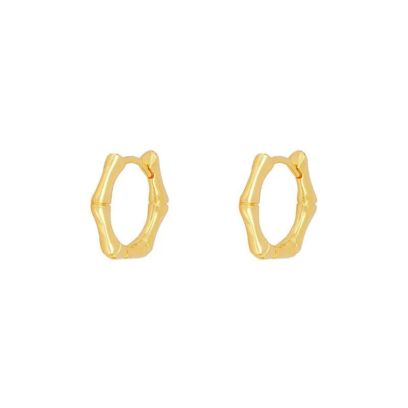 CRMYA Gold Silver Filled Hoop Earrings For Women Opal Zircon Earring Hoops Luxury Mini Earings Ear Jewelry Pendientes