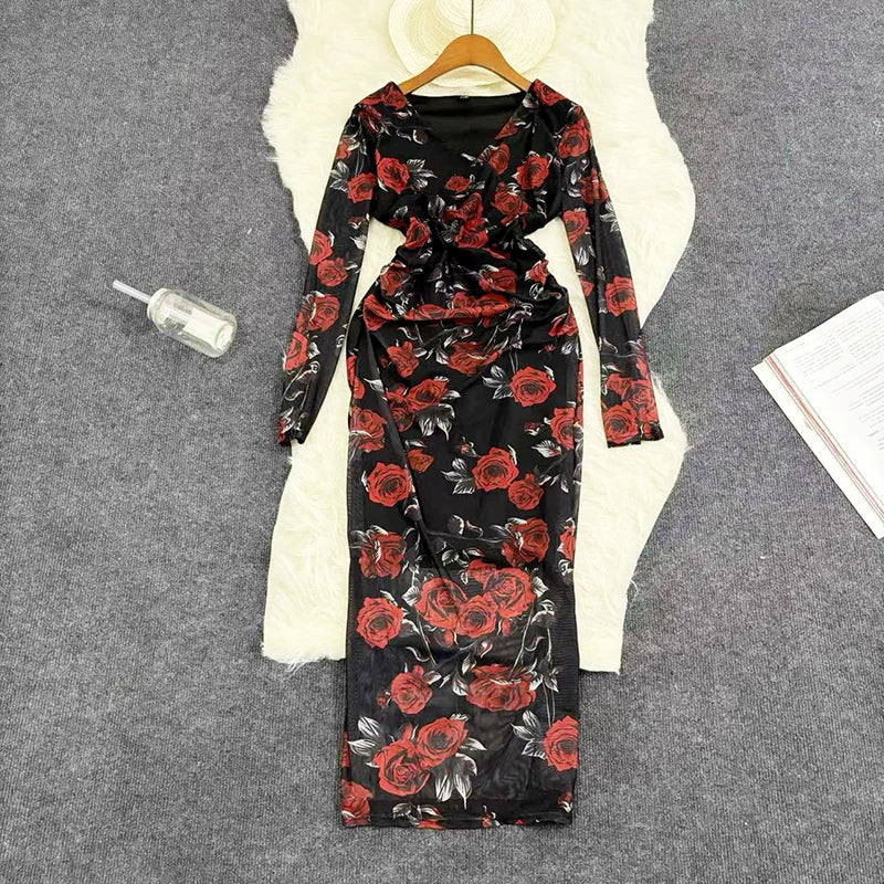 Mesh Print Women Maxi Dress V Neck Full Sleeve Bodycon Trendy Hipsters High Street Party Vintage  Attirewear